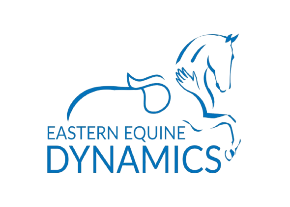 Eastern Equine Dynamics